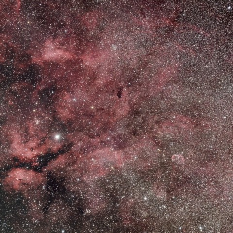 タカハシ FCT-65D サドル付近