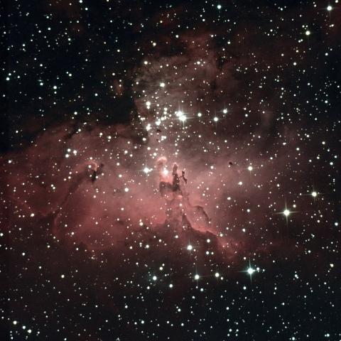 タカハシ　ミューロン２１０　M１６