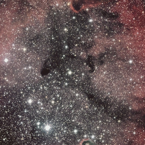 ビクセン　Ｒ２００ＳＳ   IC1396 