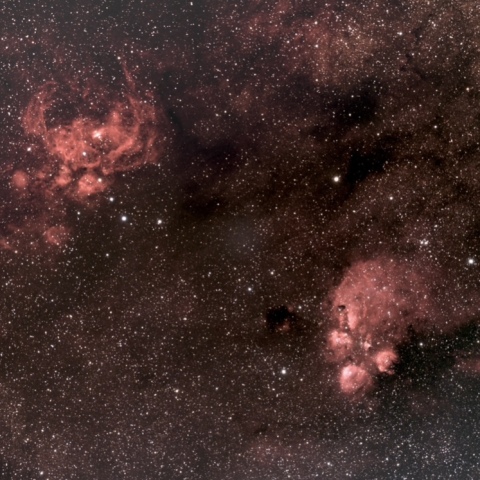 タカハシ FSQ85EDP 彼岸花星雲と出目金星雲