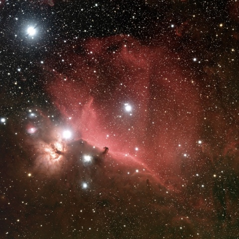 タカハシ　FSQ85EDP 馬頭星雲