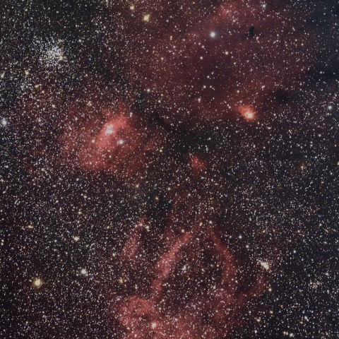 タカハシ　FSQ85EDP クワガタ星雲