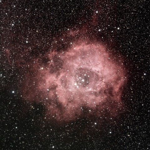 タカハシ　FSQ85EDP バラ星雲