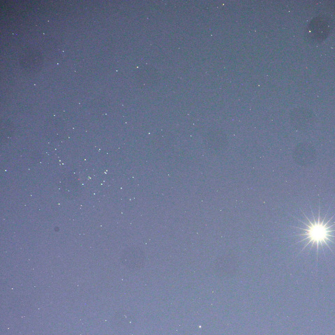 金星とプレセペ星団の接近