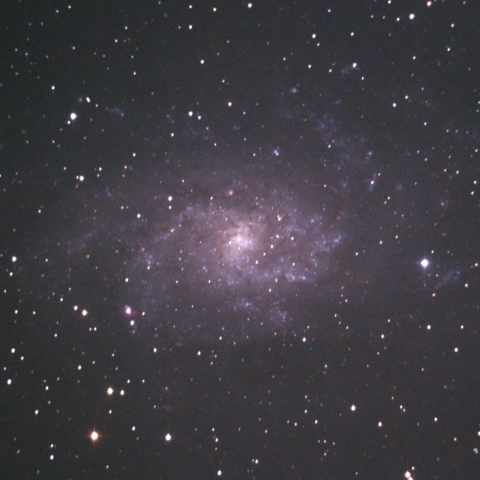 M33