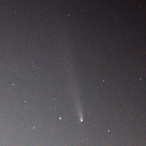 10月20日の紫金山・アトラス彗星