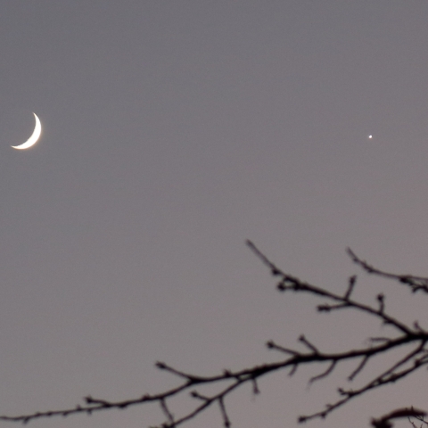 代々木公園からの月と金星