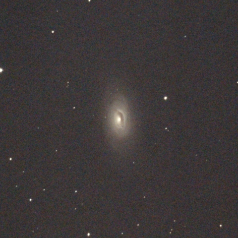 M64