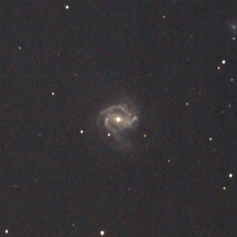 M61