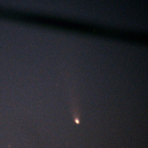 レモン彗星　11月6日