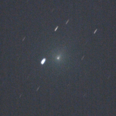 スワン彗星　11月3日