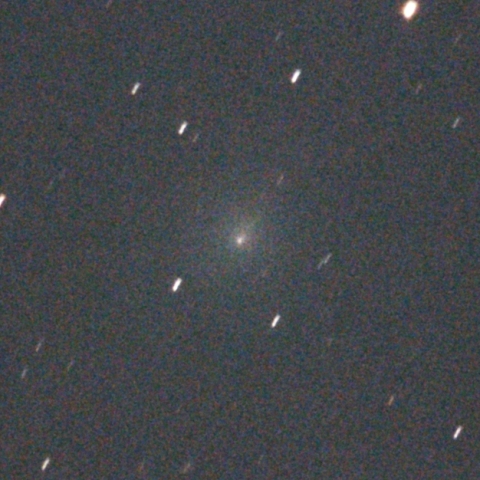 スワン彗星　11月15日