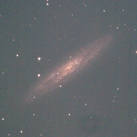 NGC253