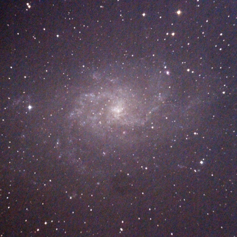 M33