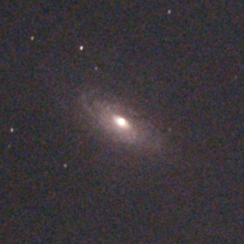 NGC3521