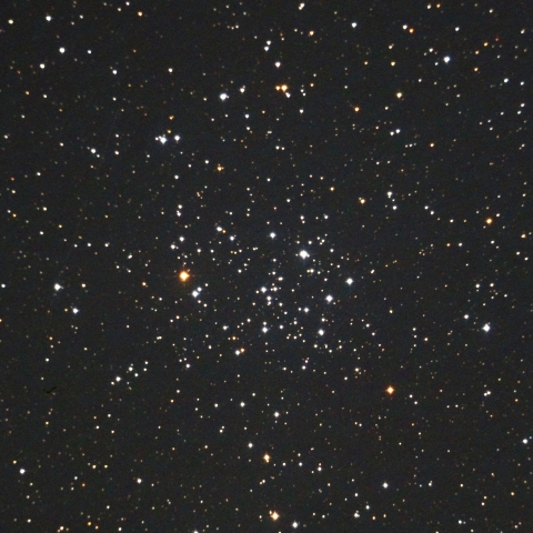 M50