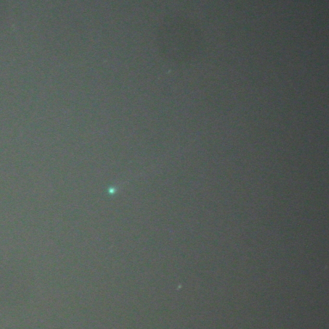 11月17日のアイソン彗星