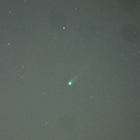 11月19日のアイソン彗星