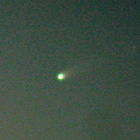 11月22日のアイソン彗星