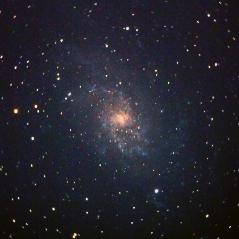 M33