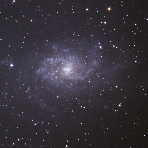 M33