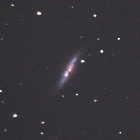 M82