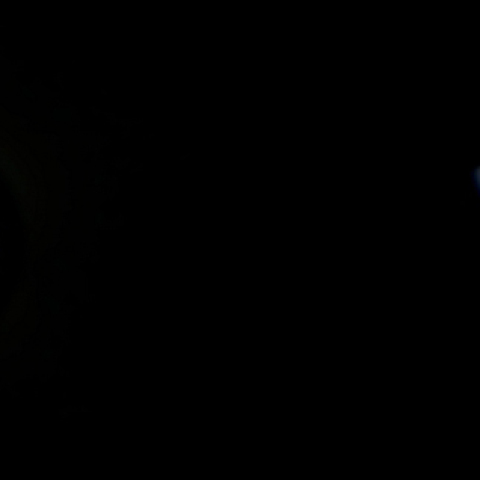 2020年8月の金星