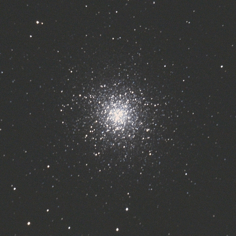 M13