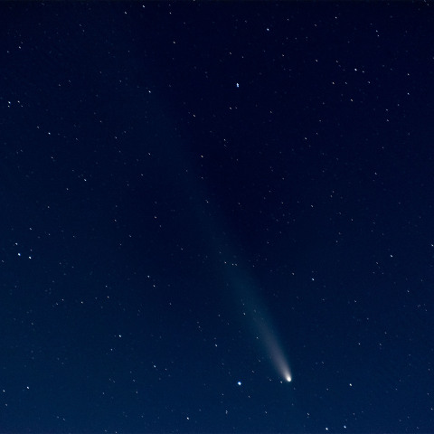 紫金山・アトラス彗星