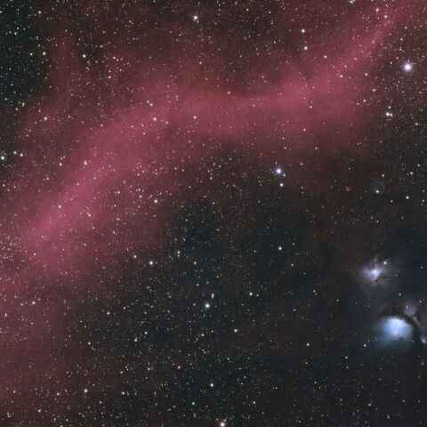 バーナードループ(20231024)