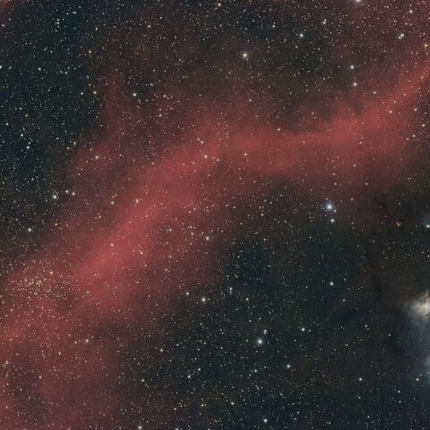 バーナードループ(20240105)