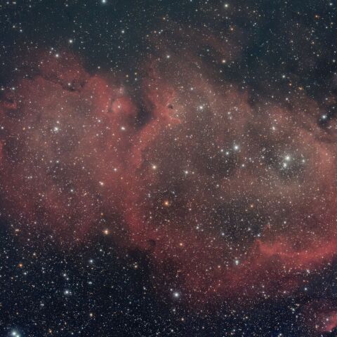 IC1848(20241201)