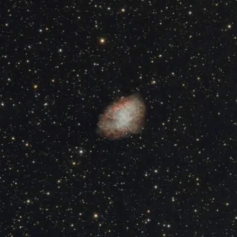 M1(20250121)
