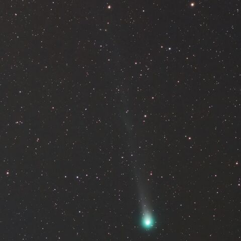 C/2025 A6レモン(20250930)