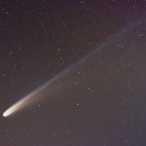 C/2025 A6レモン(20251030)