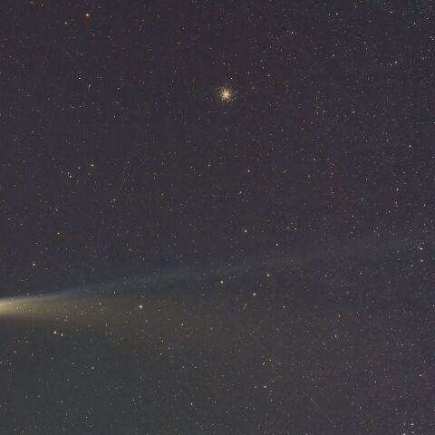 C/2025 A6レモン(20251103)