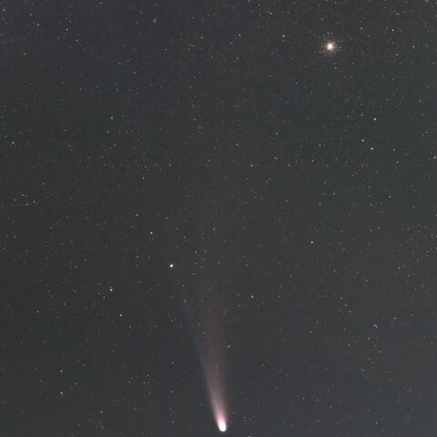 C/2025 A6レモン(20251106)