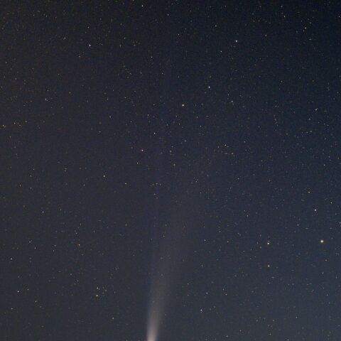 C/2025 A6レモン(20251107)