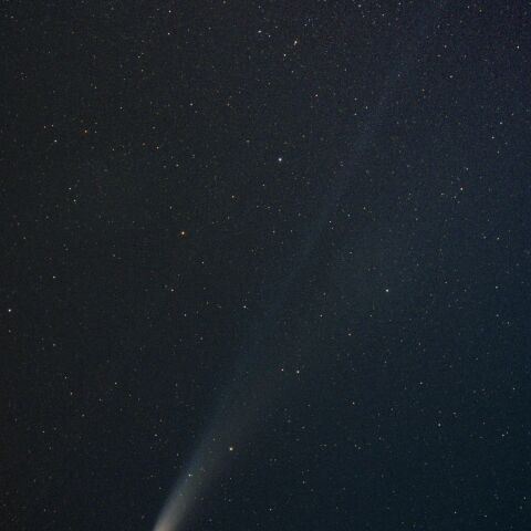 C/2025 A6レモン(20251111)