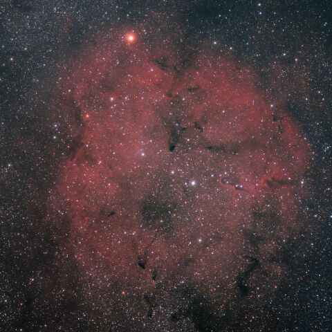 IC1396(20251111)