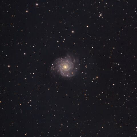 M74(20251119)
