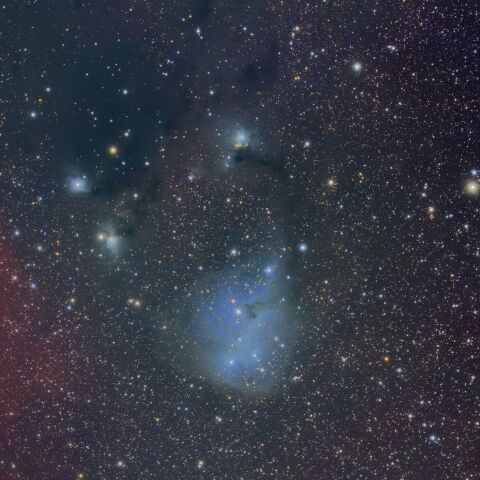 IC2169(20251218)