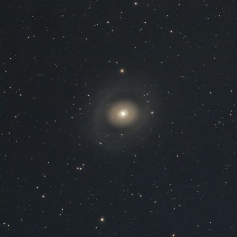 M94(20260517)