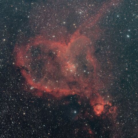 IC1805(20221019)