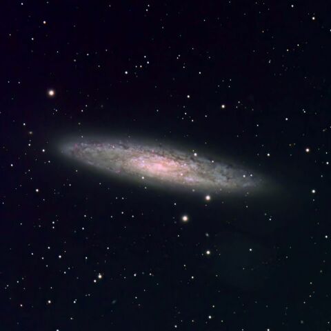 NGC253(20221020)