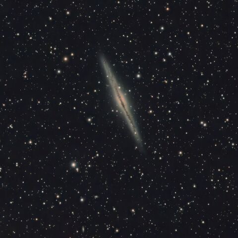 NGC891(20221026)
