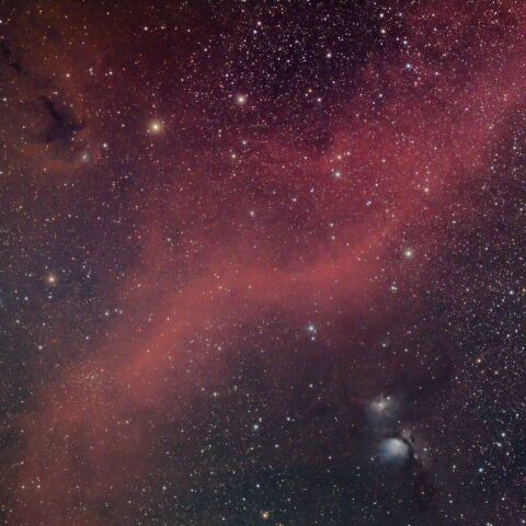 バーナードループ(20221227)