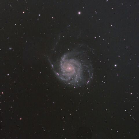 M101(20230617)