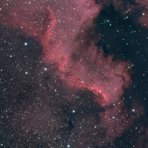 NGC7000(20231015)