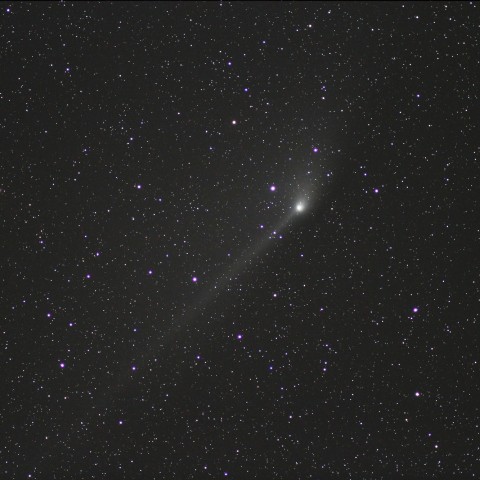 5月17日 早朝のPANSTARRS彗星